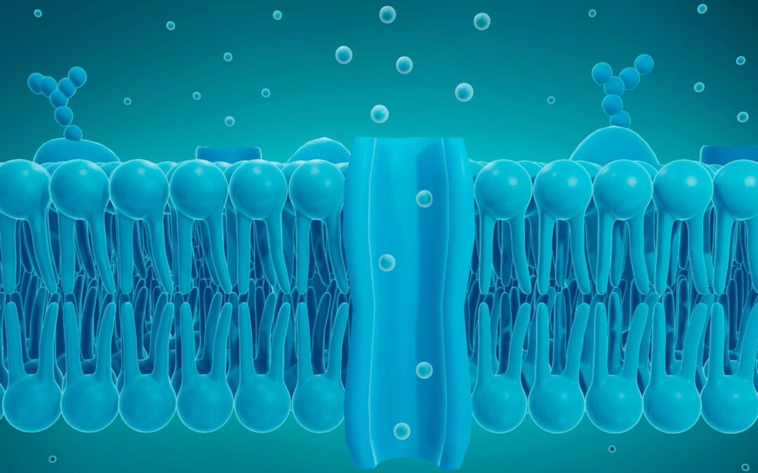 Ioniterapia: una soluzione innovativa per i dolori articolari negli animali